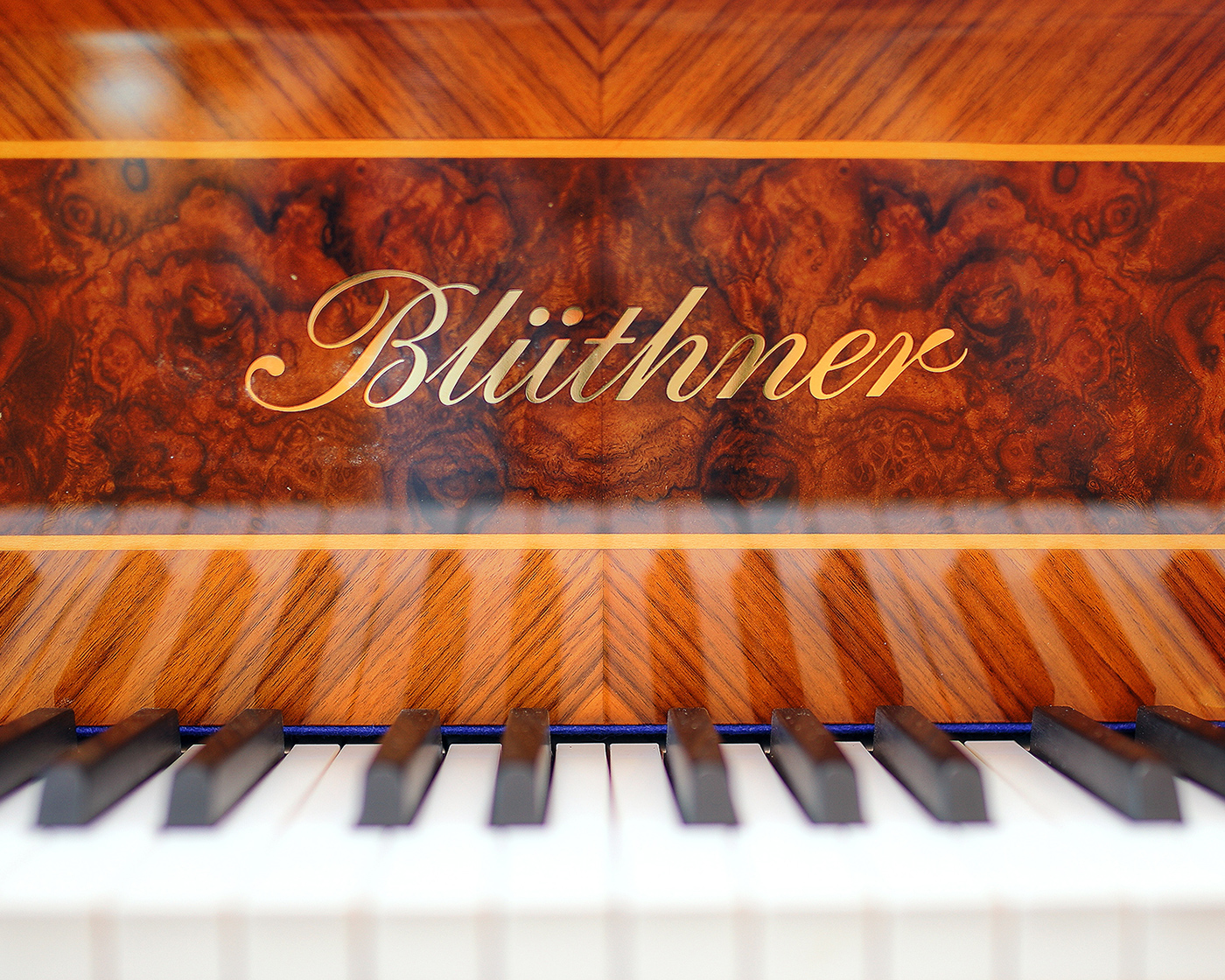 Bluthner Bespoke Piano