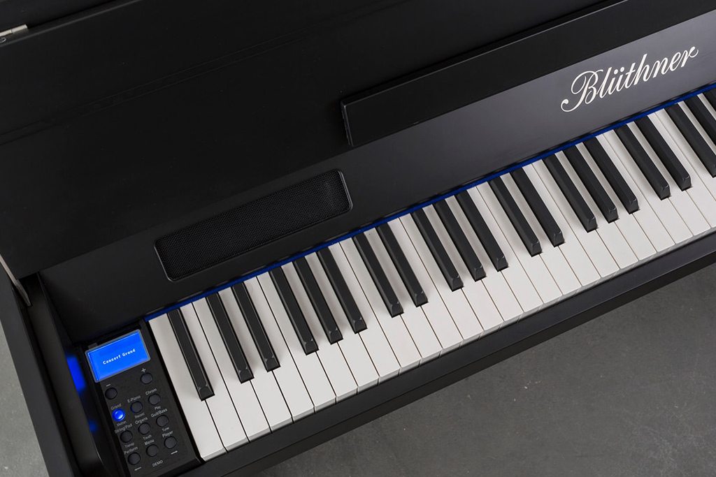 Bluthner piano technology