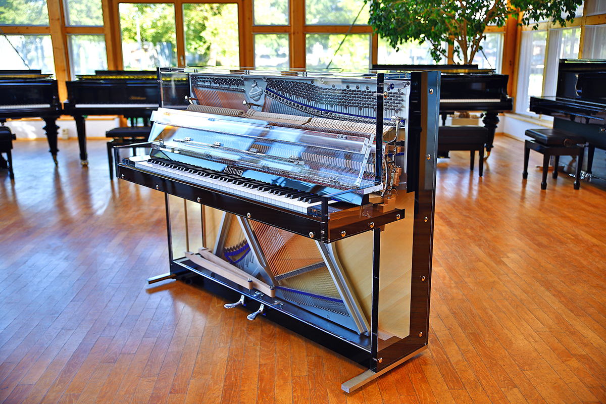 Crystal Edition Grand Piano in black