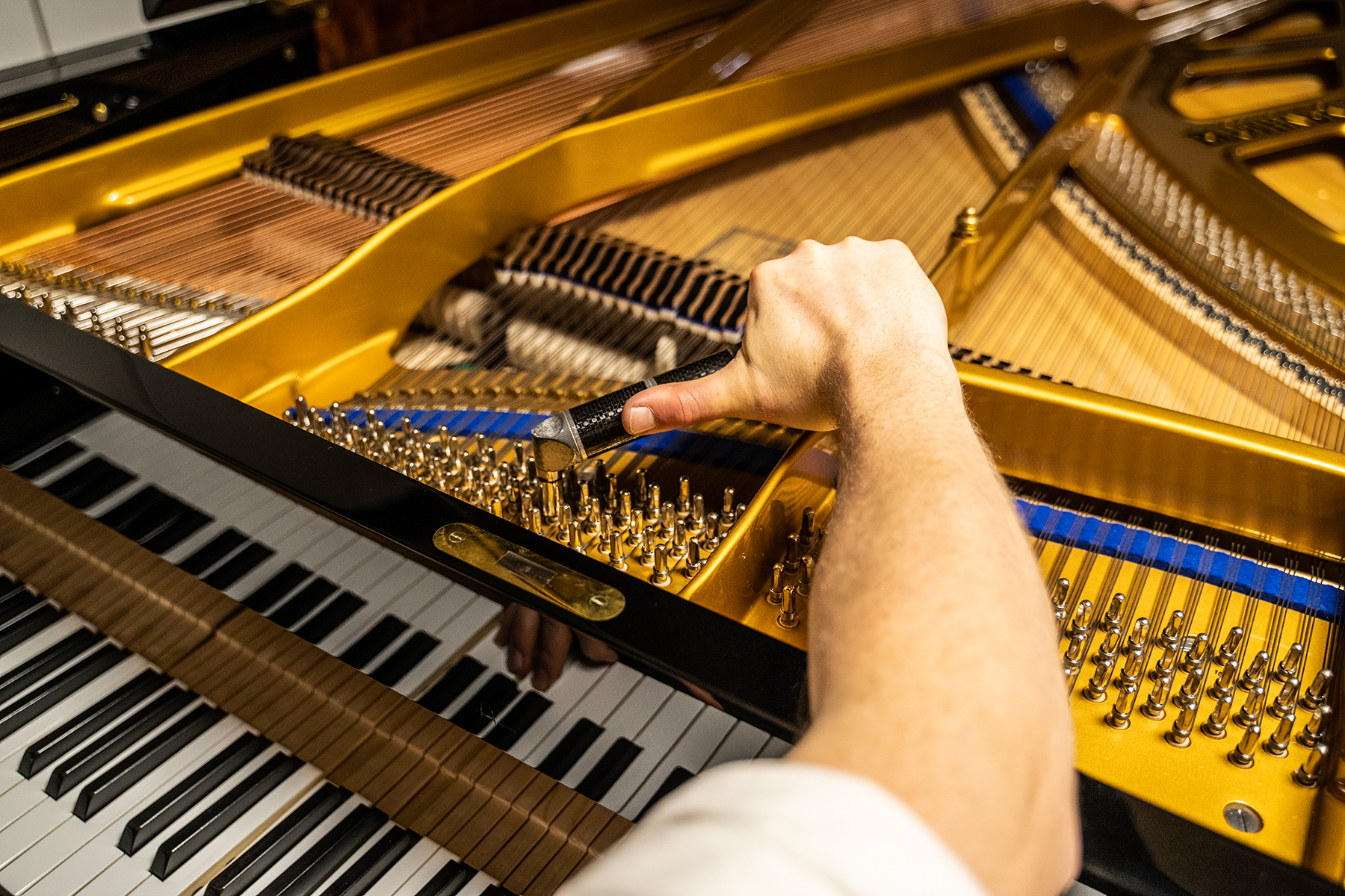 Bluthner piano tuning in London
