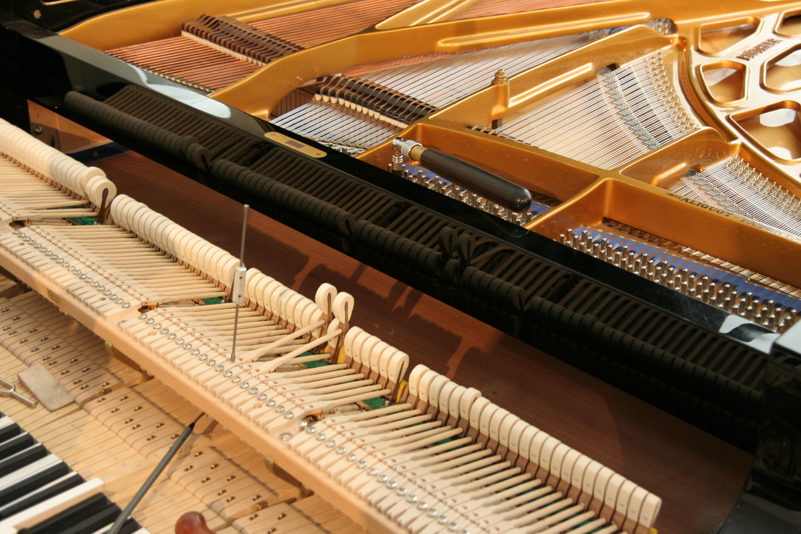 Bluthner piano servicing