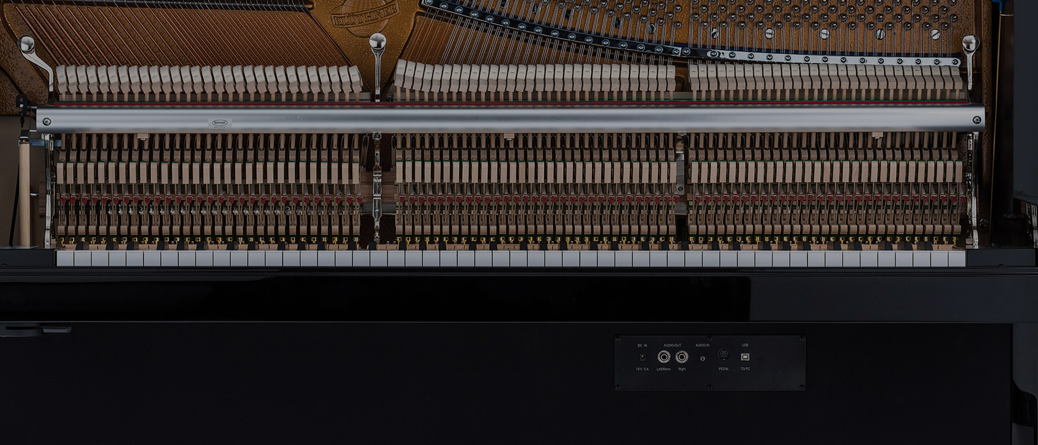 Blüthner e-Volution System