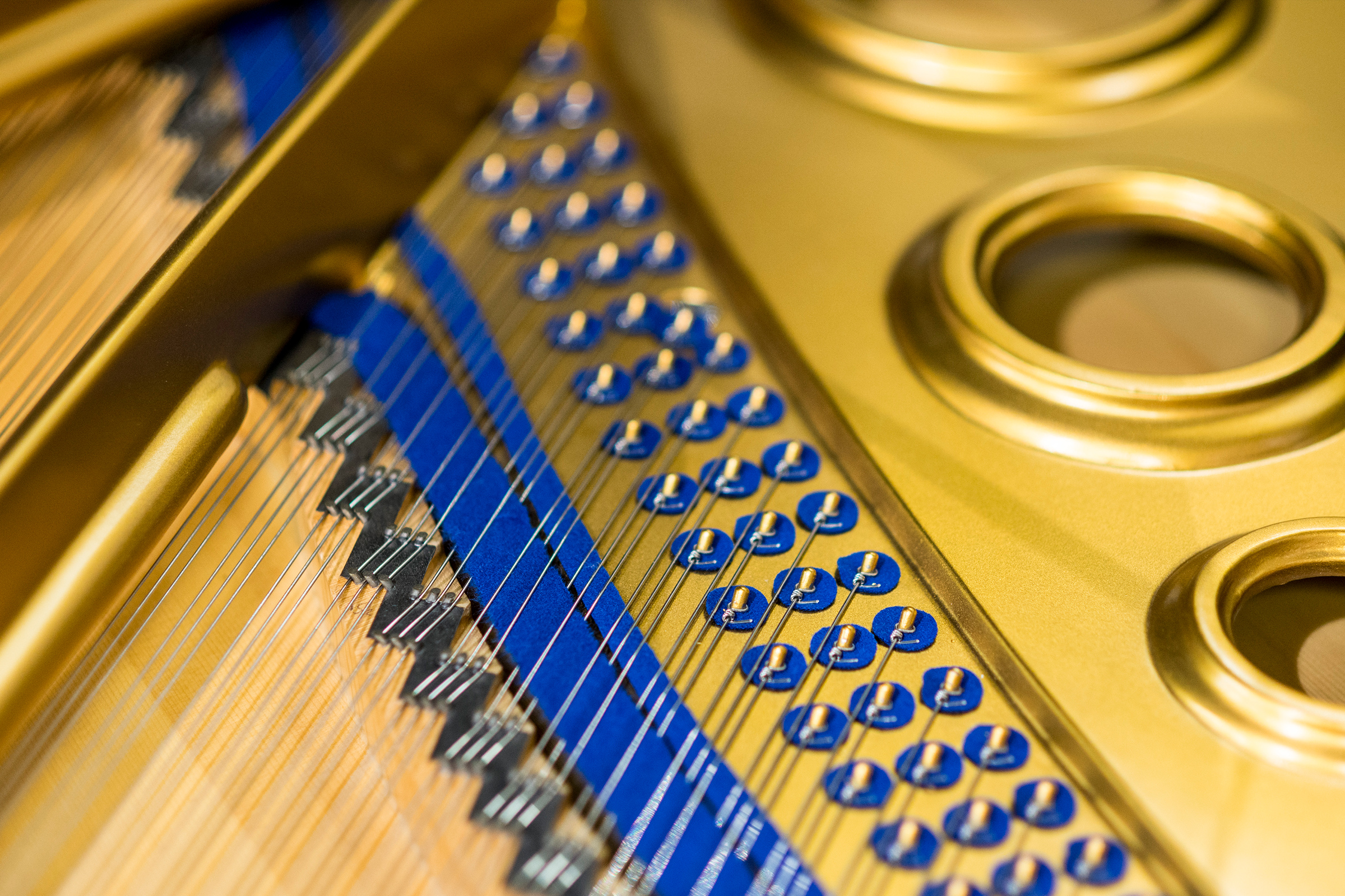 Blüthner Grand Pianos