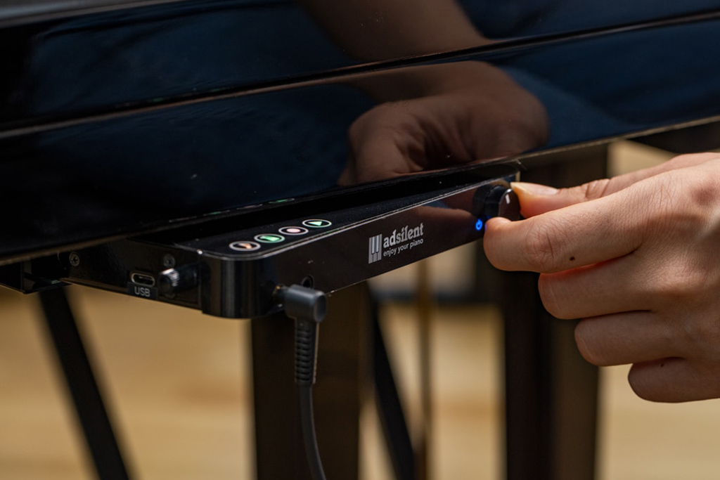 Blüthner piano technology