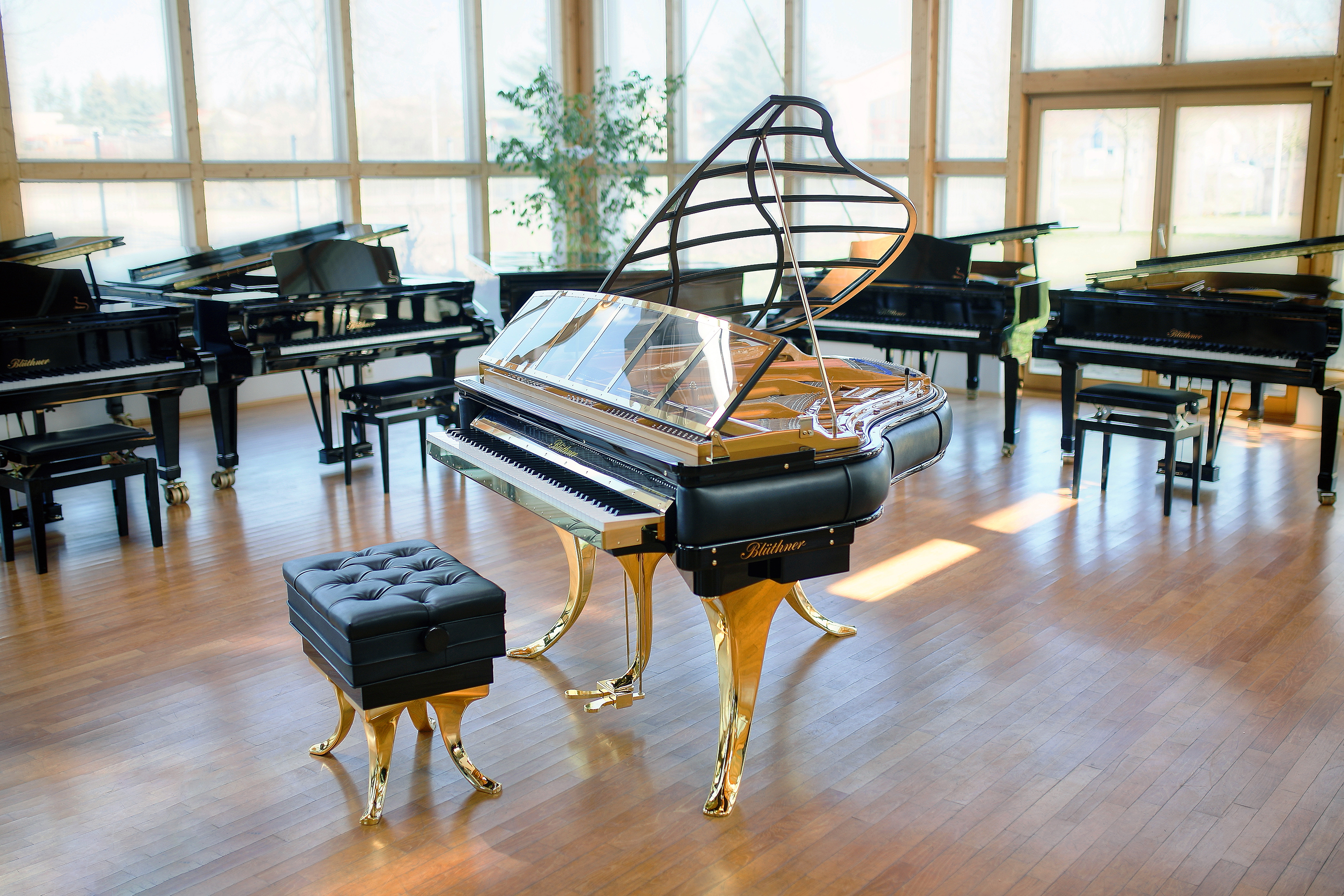 Blüthner PH Edition Grand Piano