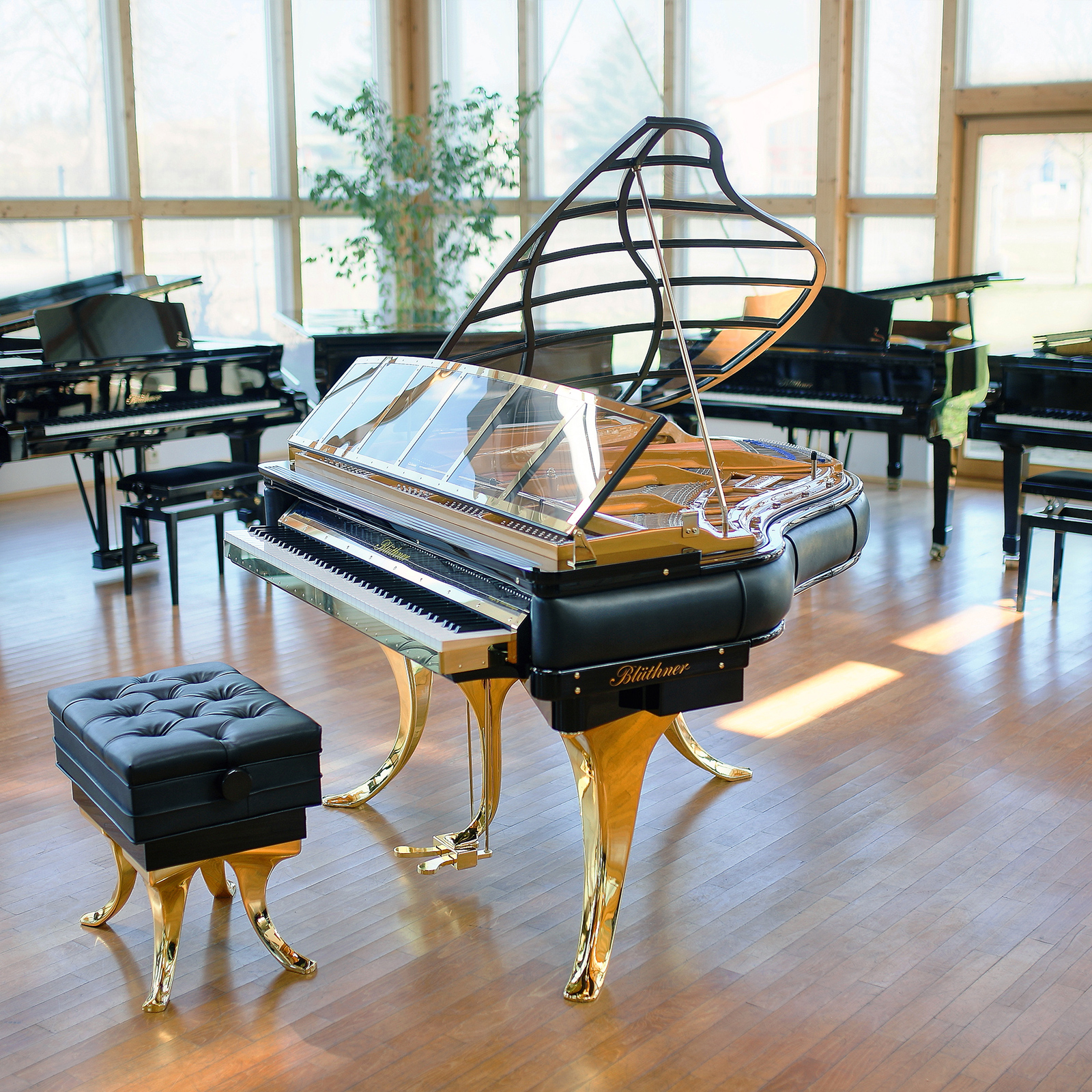 Blüthner PH Edition Grand Piano