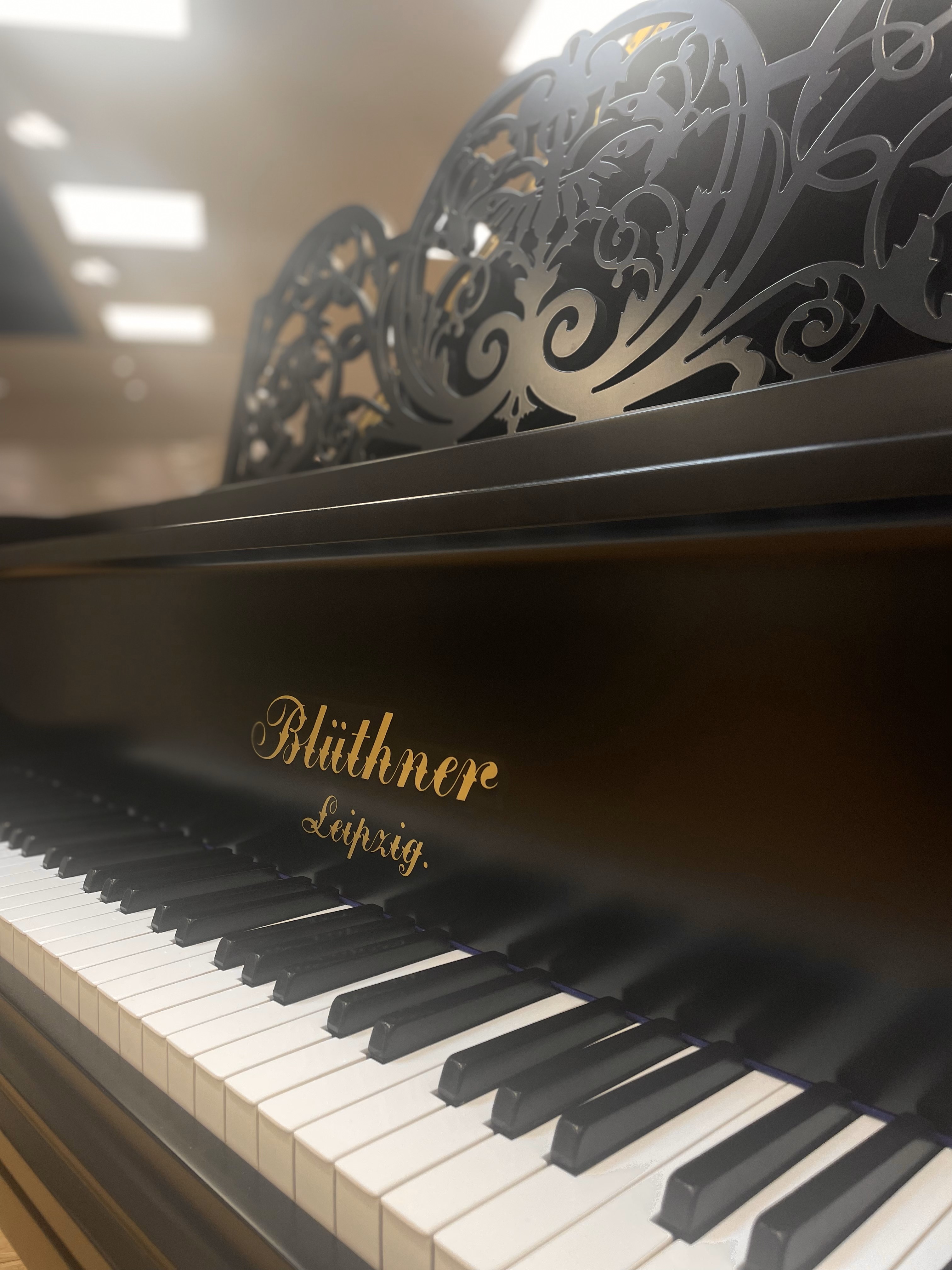 Re-built Blüthner Style VII