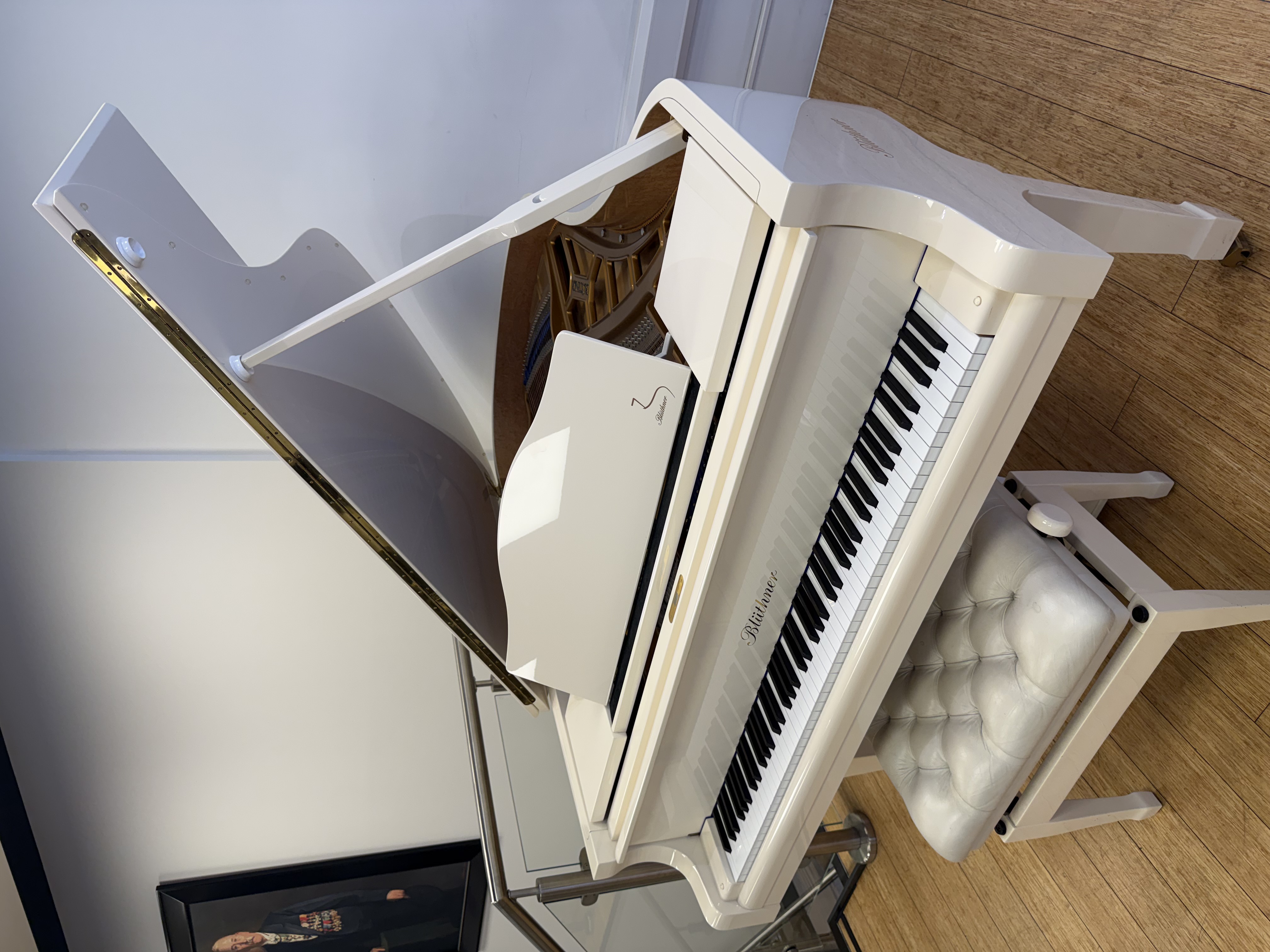 Pre-Owned Blüthner Model 6