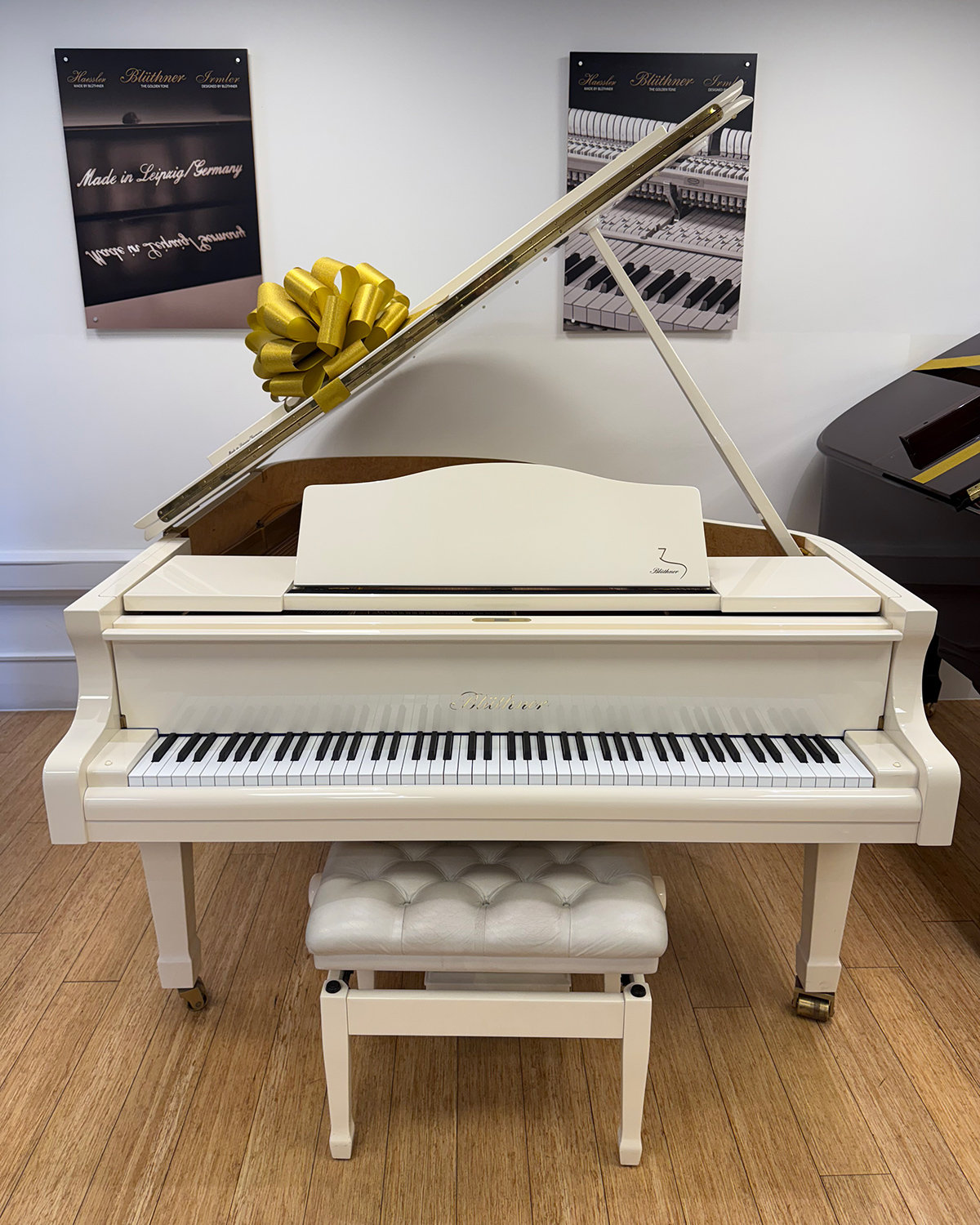 Pre-Owned Blüthner Model 6