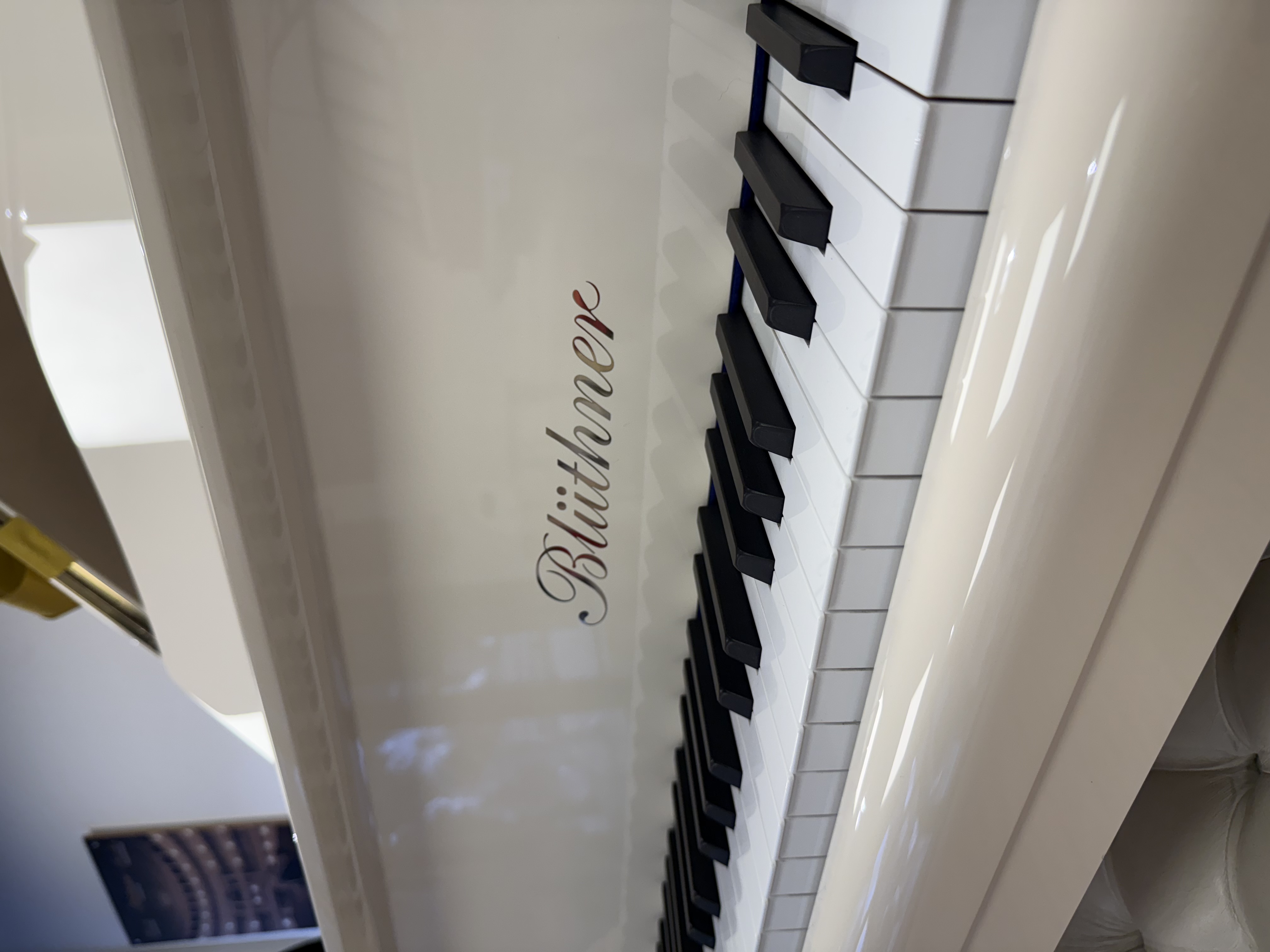 Pre-Owned Blüthner Model 6