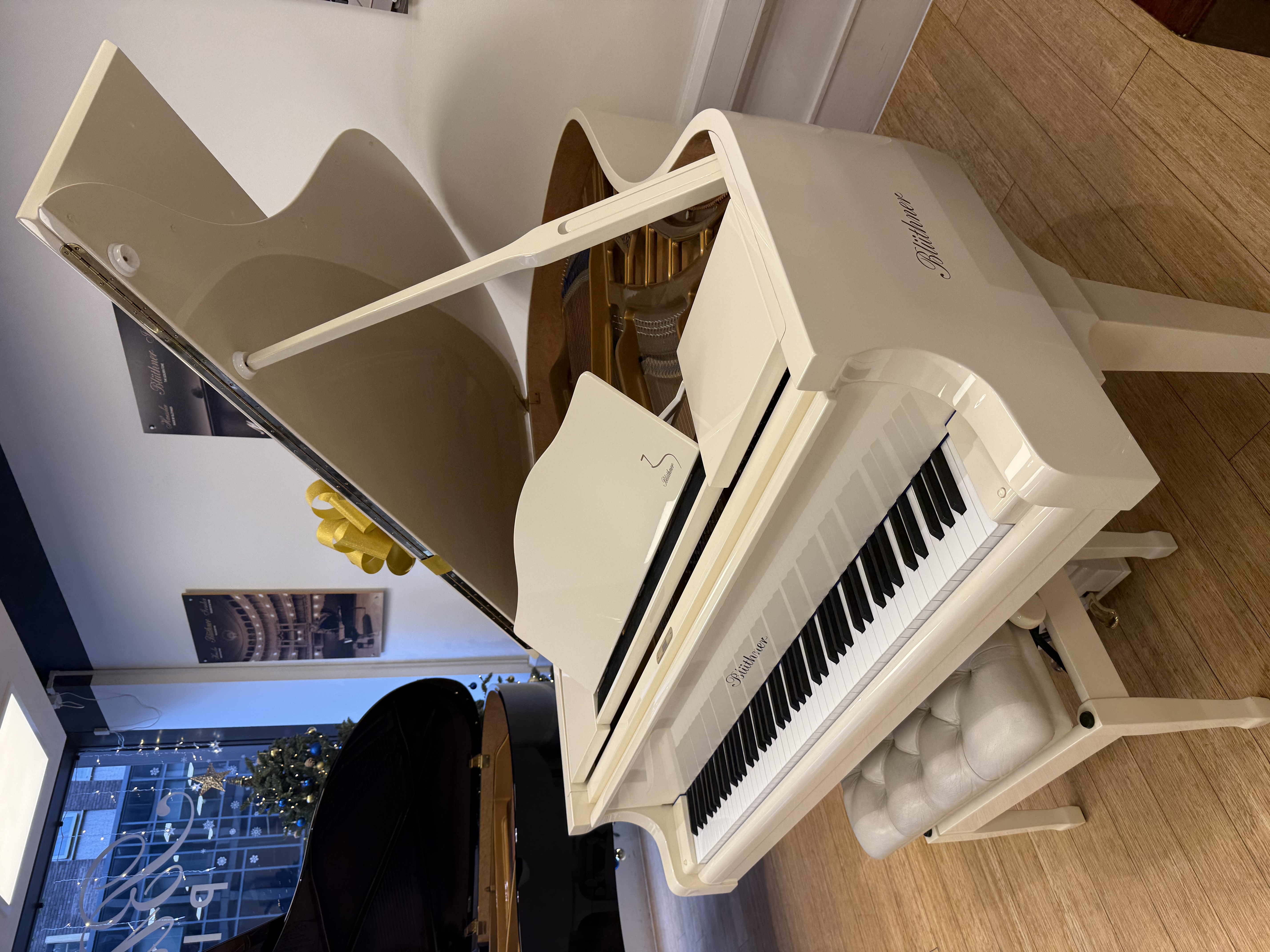 Pre-Owned Blüthner Model 6