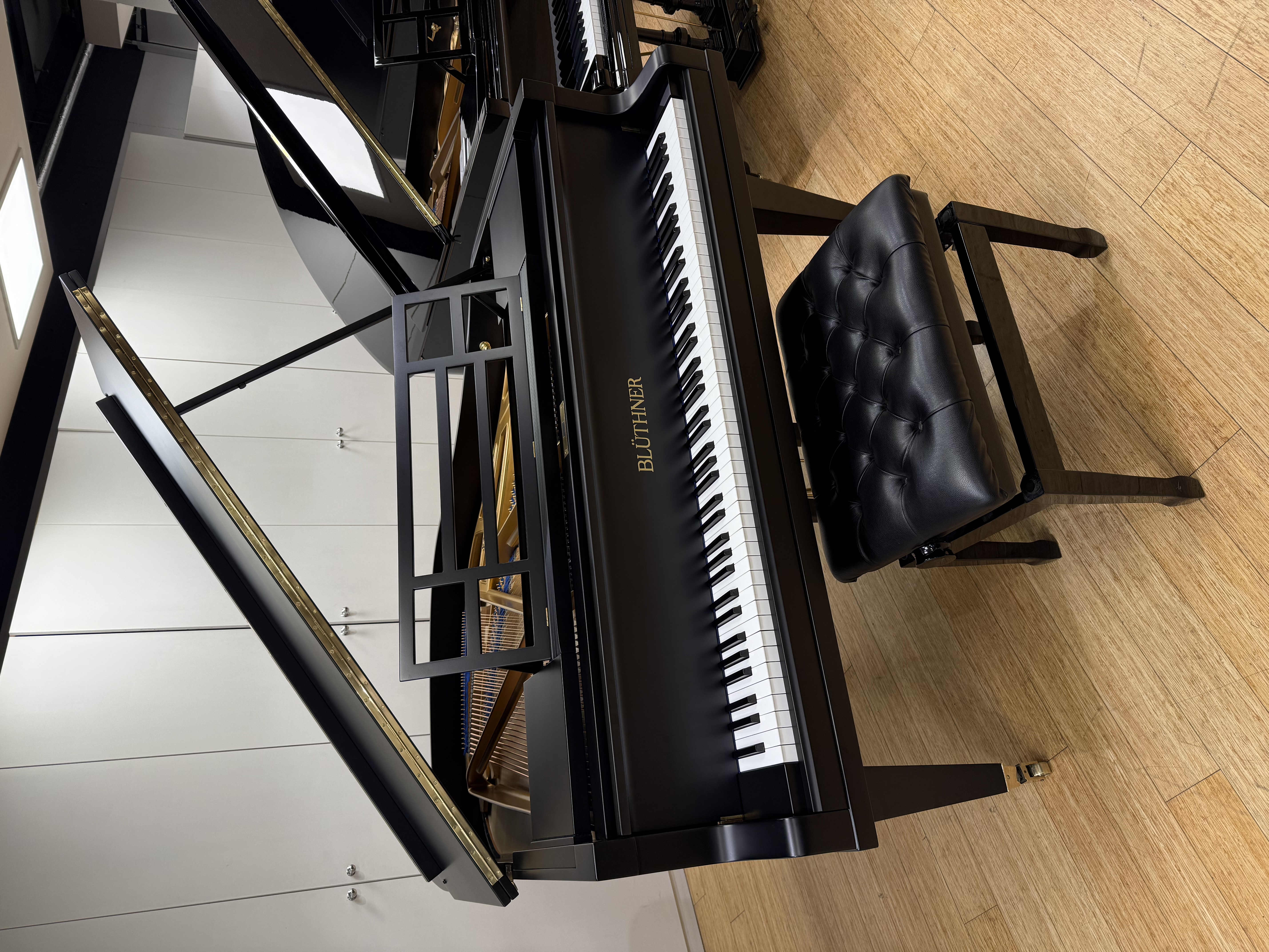 Re-conditioned Blüthner Style IVa