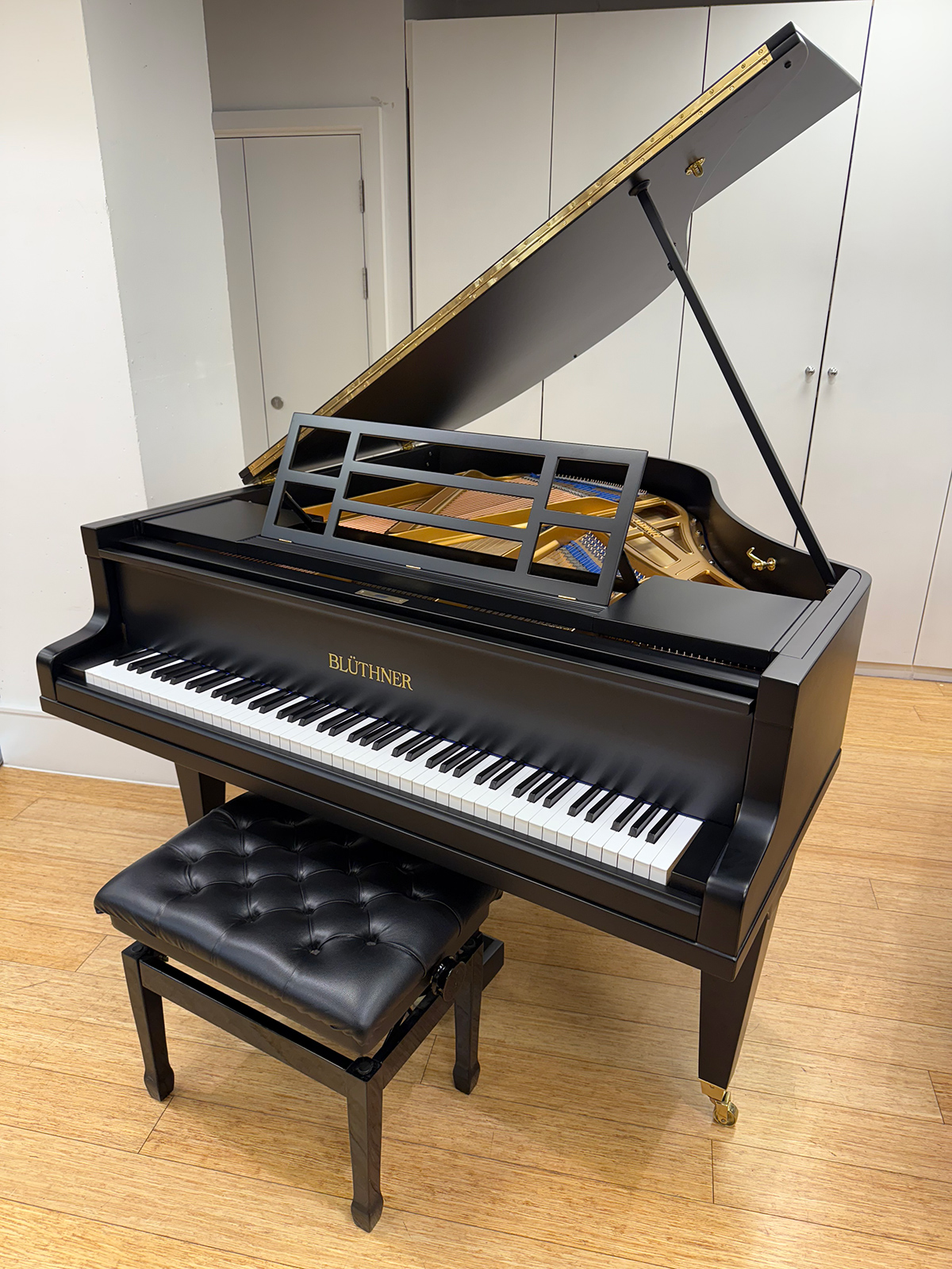 Re-conditioned Blüthner Style IVa