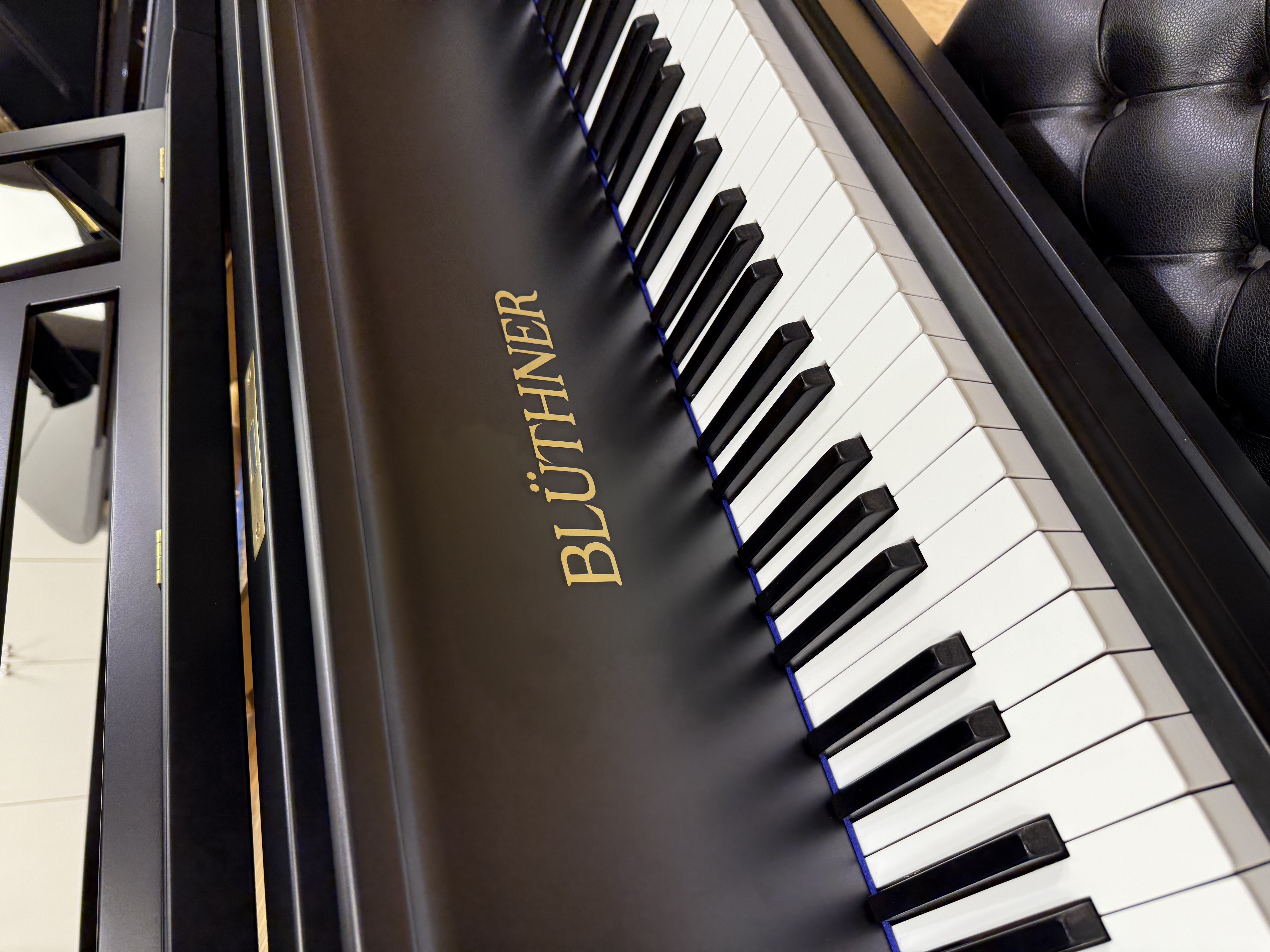 Re-conditioned Blüthner Style IVa