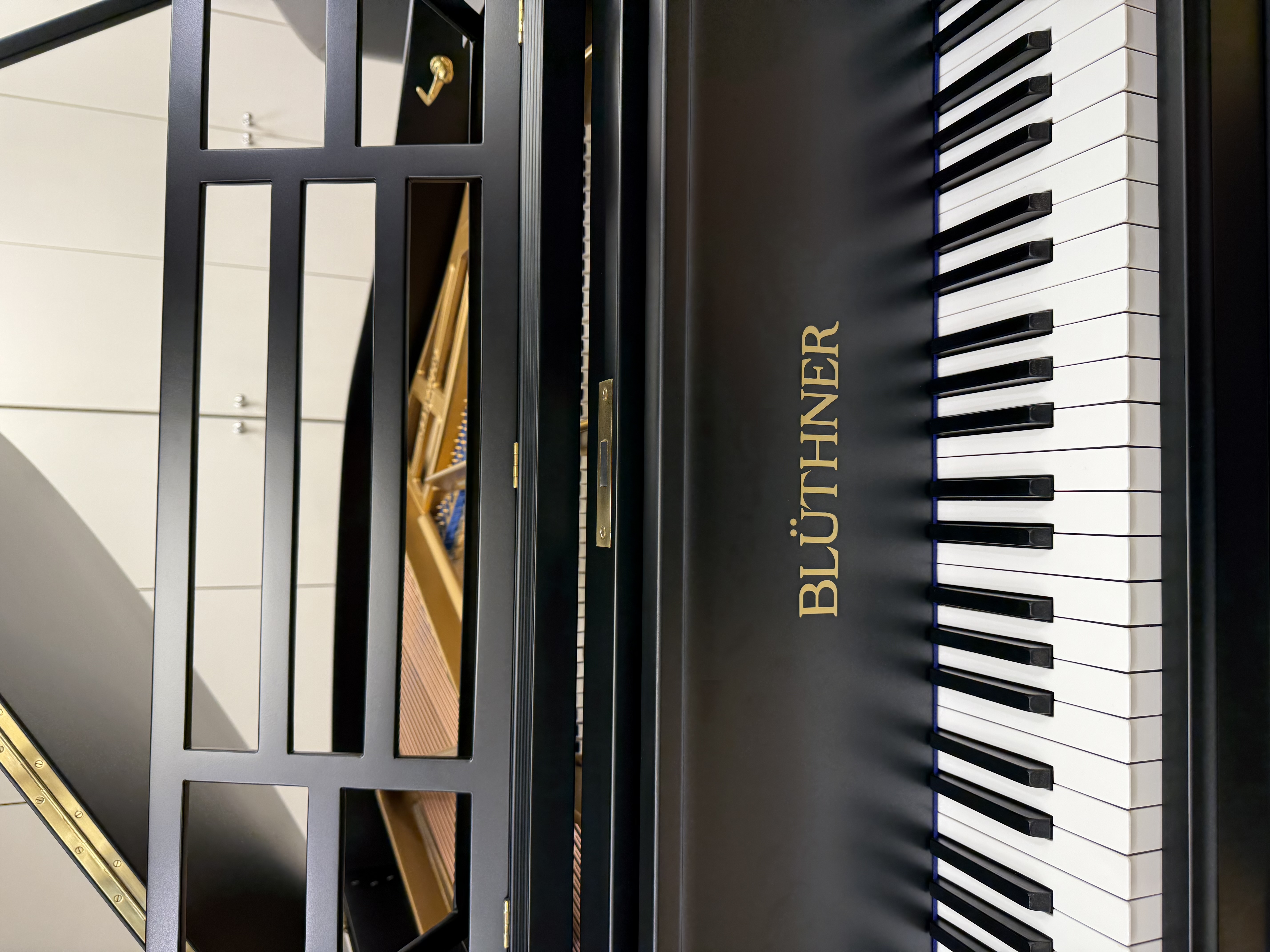 Re-conditioned Blüthner Style IVa