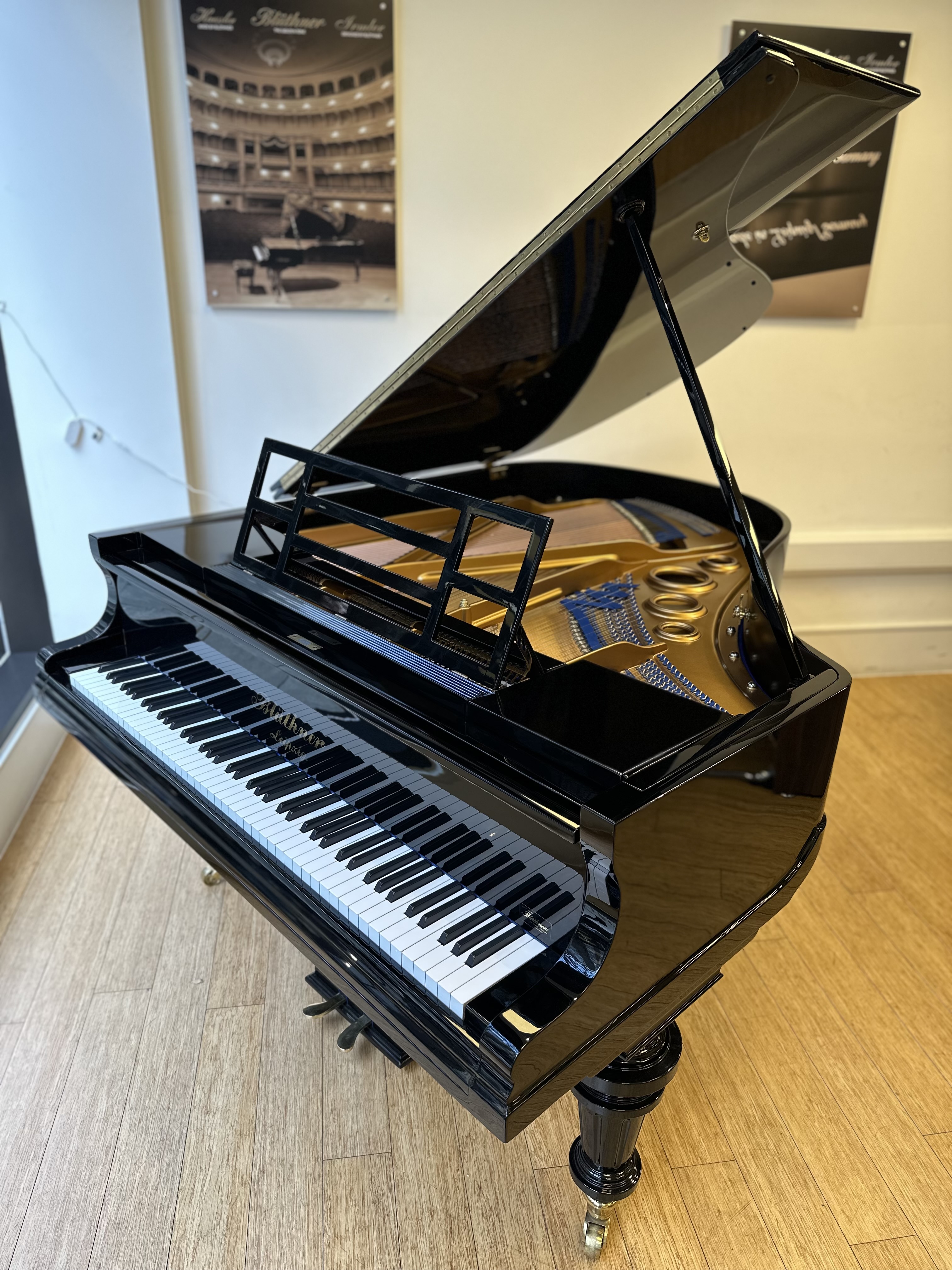 Re-built Blüthner Style VI