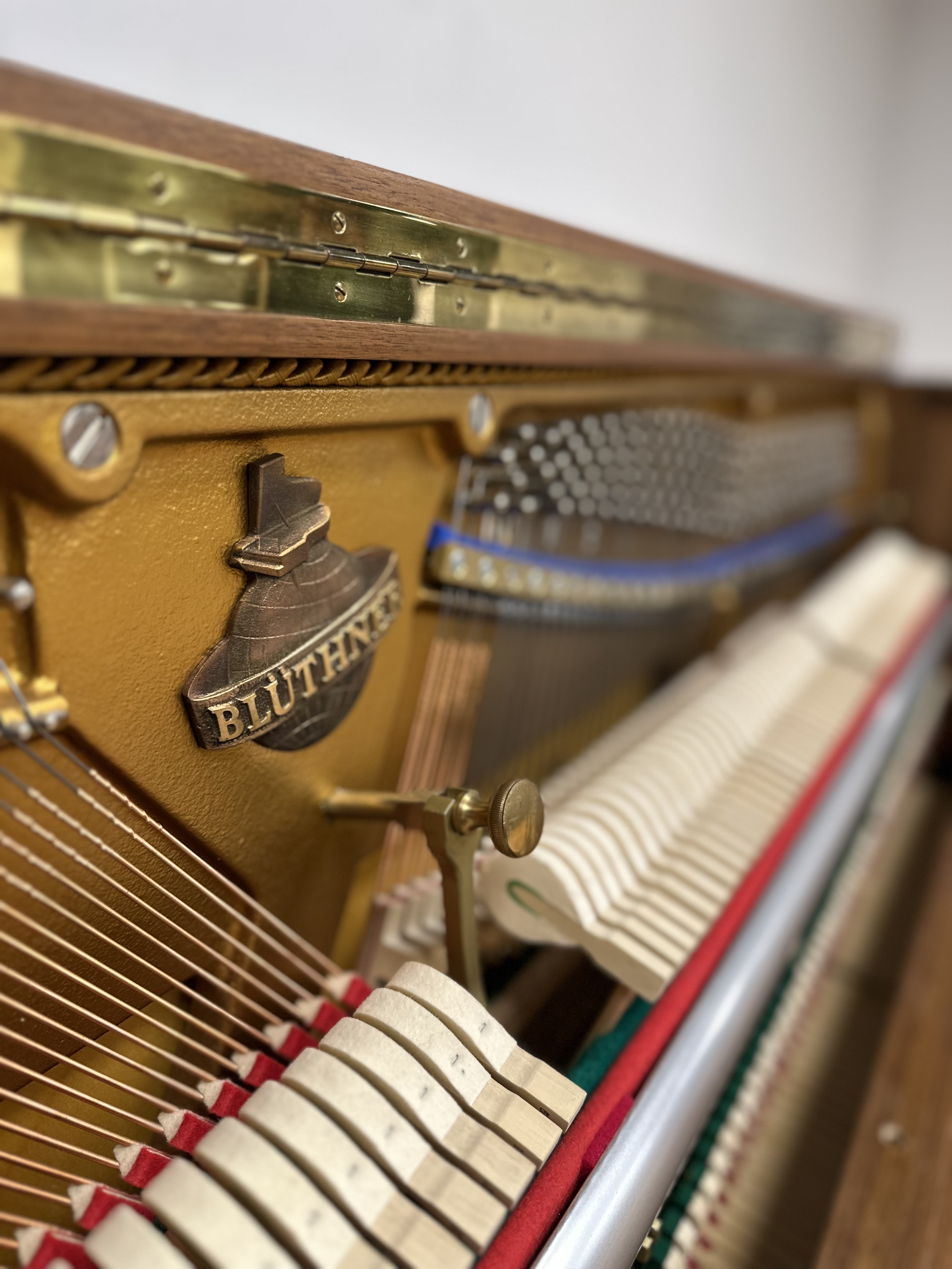 Pre-Owned Blüthner Model C