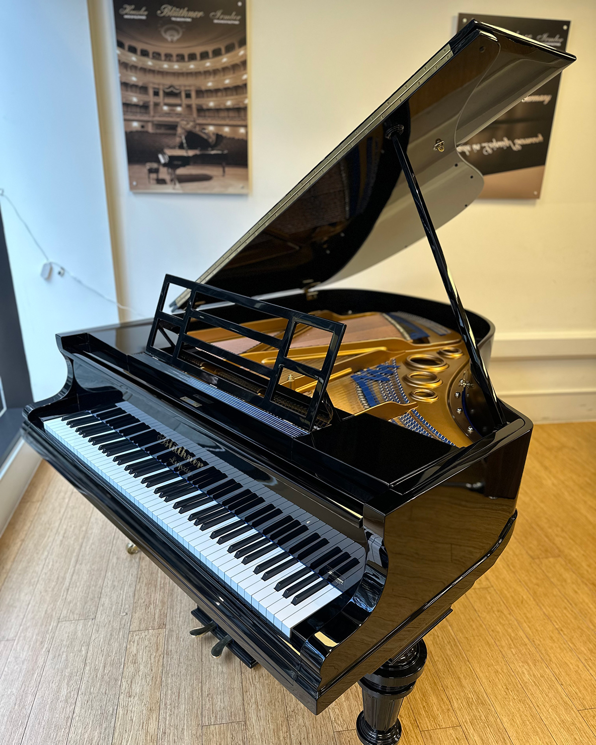 Re-built Blüthner Style VI