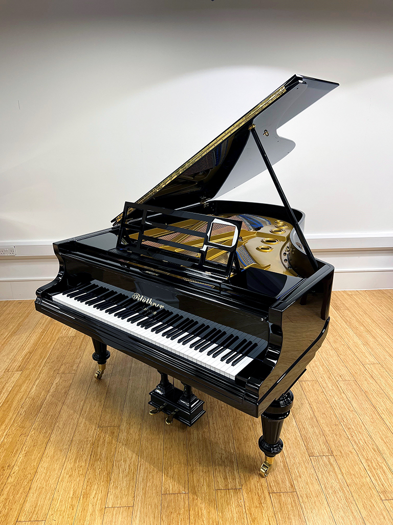 Re-conditioned Blüthner Style VIII